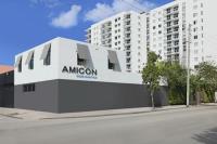 Amicon Construction image 2